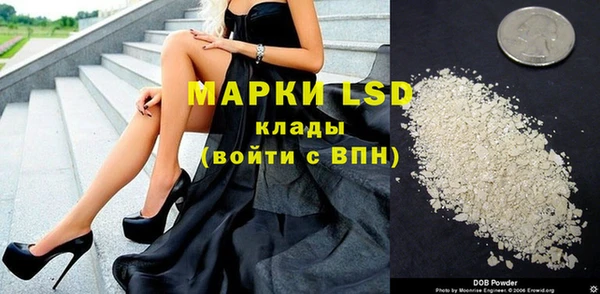 ECSTASY Алзамай