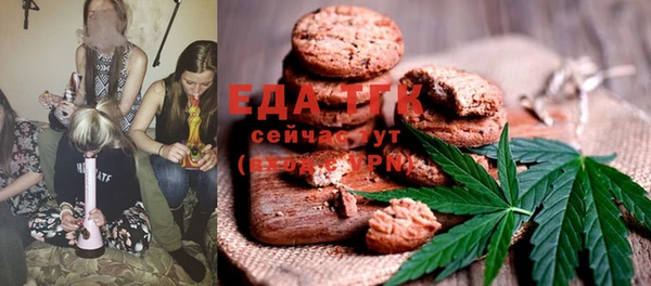 ECSTASY Алзамай