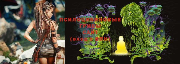 ECSTASY Алзамай