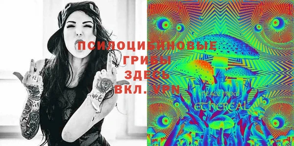 ECSTASY Алзамай
