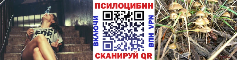 omg ССЫЛКА закладка мориарти телеграм Псилоцибиновые грибы Psilocybine cubensis Нытва
